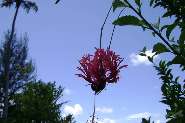 Inhassunge e dintorni...!